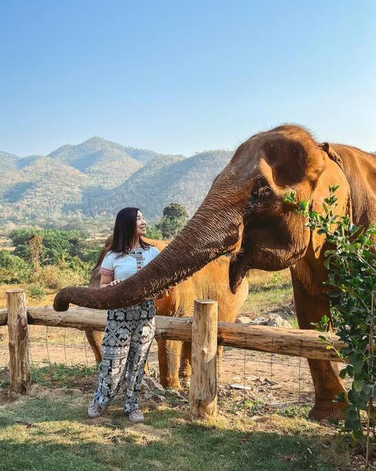 Elephantpoolvilla Maetang Chiangmai Ban Muang Kut Buitenkant foto