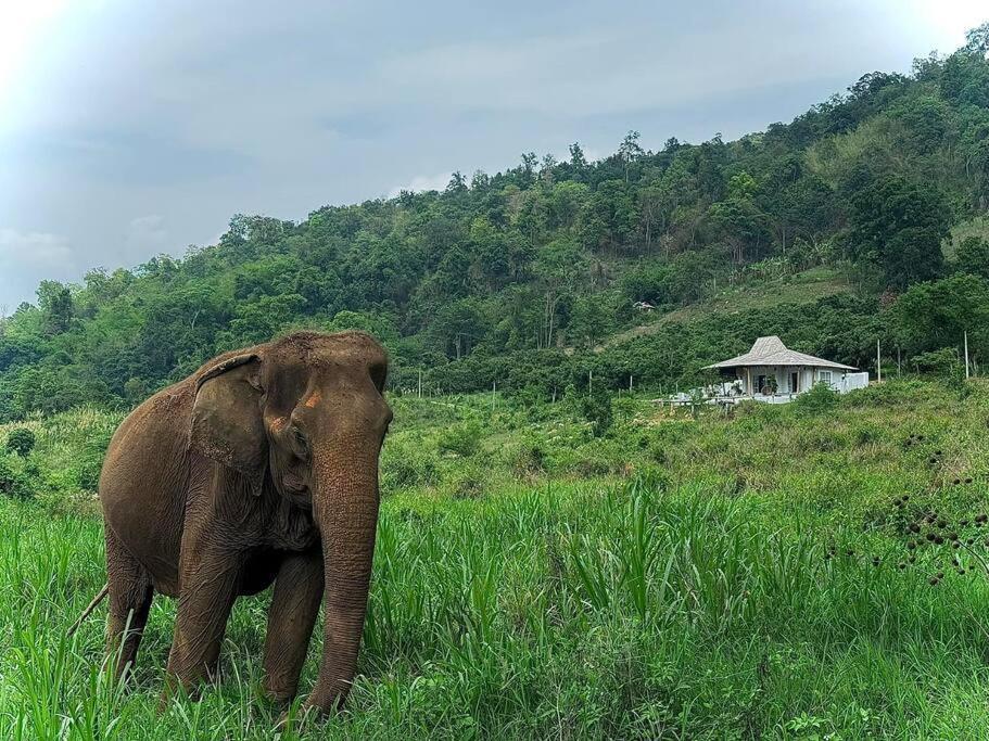 Elephantpoolvilla Maetang Chiangmai Ban Muang Kut Buitenkant foto